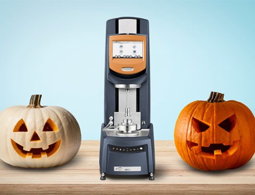 ¿Son realmente diferentes las calabazas blancas?